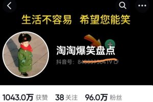 价值1000的搞笑盘点大V淘淘爆笑盘点详细课程+软件,中视频变现