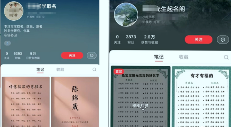 【新课】冷门暴利项目:给宝宝起名(一单200+)内附教程+工具插图2 【新课】冷门暴利项目:给宝宝起名(一单200+)内附教程+工具插图2