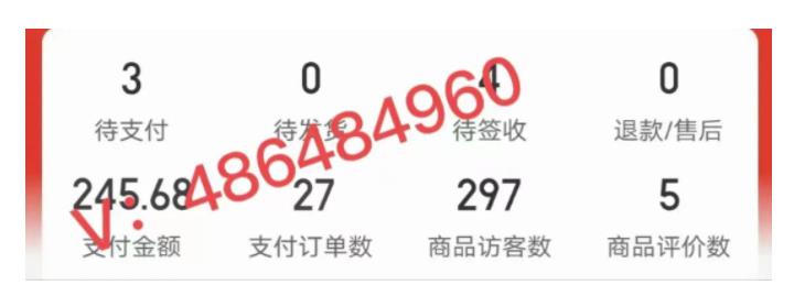 拼多多虚拟开店打卡群:新手到入门到精通插图1 拼多多虚拟开店打卡群:新手到入门到精通插图1