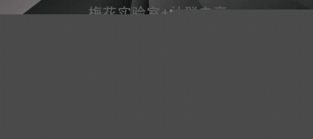 梅花实验室社群专享视频号连怼玩法半卡封面+双卡封面技术