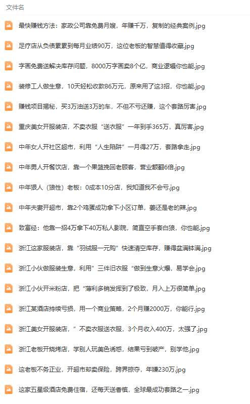 （9607期）真实有效391套商业模式，年入几十到几百万案例解析（电子书+视频+图文）插图2