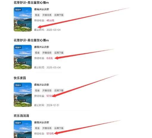 磁力聚星游戏副业陪跑训练营1.0，长期稳定项目，有人一周干了1K+插图2