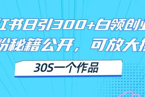 （11692期）小红书日引300+高质白领创业粉，可放大操作，爆粉秘籍！30s一个作品