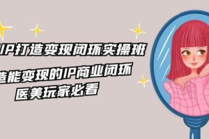 (11850期)医美IP打造-变现闭环实操班,打造能变现的IP商业闭环,医美玩家必看-22节