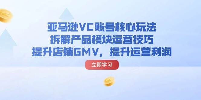 （11848期）亚马逊VC账号核心玩法，拆解产品模块运营技巧，提升店铺GMV，提升运营利润插图