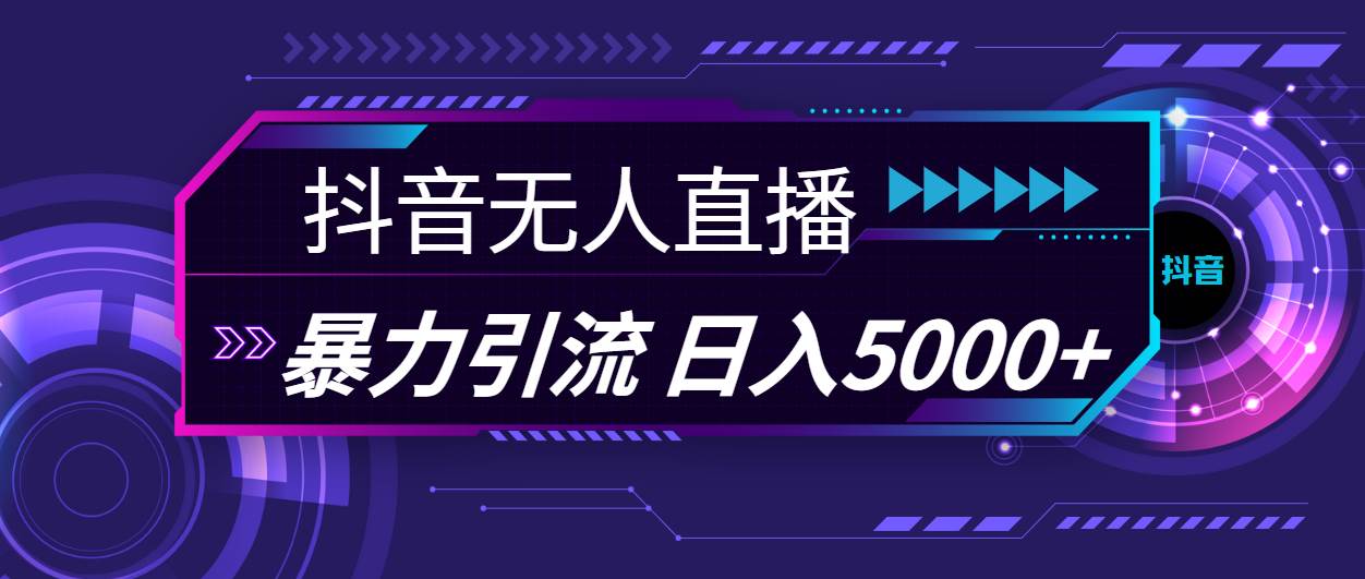 （11709期）抖音无人直播，暴利引流，日入5000+插图