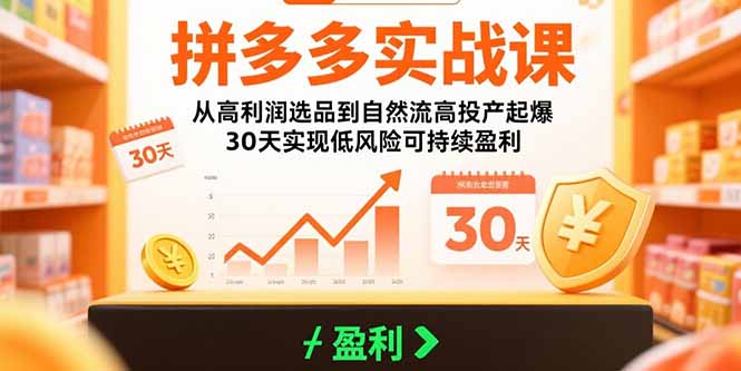 （15586期）拼多多实战课：从高利润选品到自然流高投产起爆 30天实现低风险可持续盈利