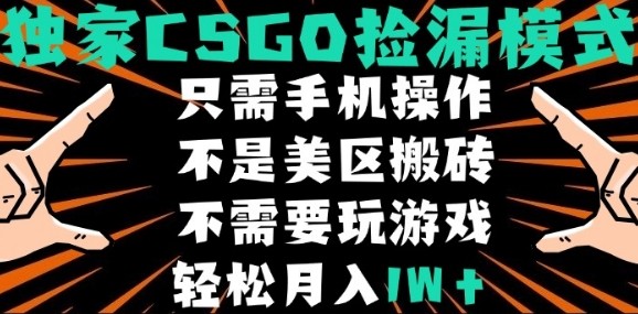 CSGO自动捡漏项目,最新独家玩法,不是美区搬砖,不需要了解和玩游戏,新手小白轻松月入1W+【揭秘】插图 CSGO自动捡漏项目,最新独家玩法,不是美区搬砖,不需要了解和玩游戏,新手小白轻松月入1W+【揭秘】插图