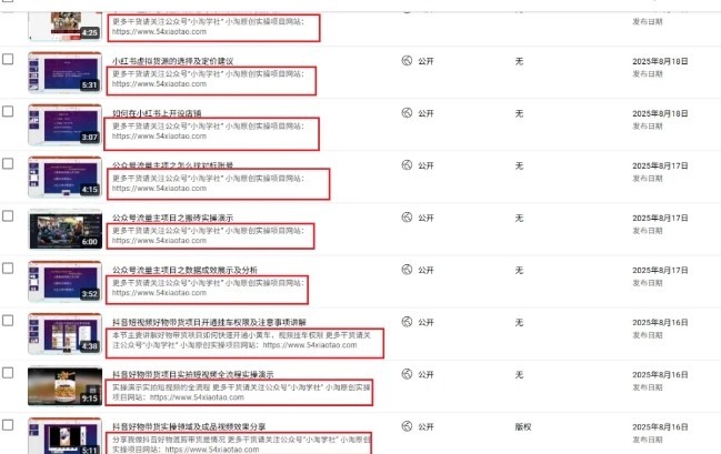 2025油管引流术,分享我是如何通过油管做引流的插图1 2025油管引流术,分享我是如何通过油管做引流的插图1