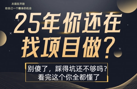 25年,你还在疯狂的找项目吗?别傻了,看完这个你都懂了【揭秘】插图 25年,你还在疯狂的找项目吗?别傻了,看完这个你都懂了【揭秘】插图