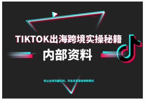 TikTok跨境电商0-1搭建运营,TK出海跨境实操秘籍(10月更新)插图 TikTok跨境电商0-1搭建运营,TK出海跨境实操秘籍(10月更新)插图