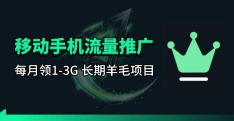 手机流量领取推广_每月一轮，刚需类的长期项目插图