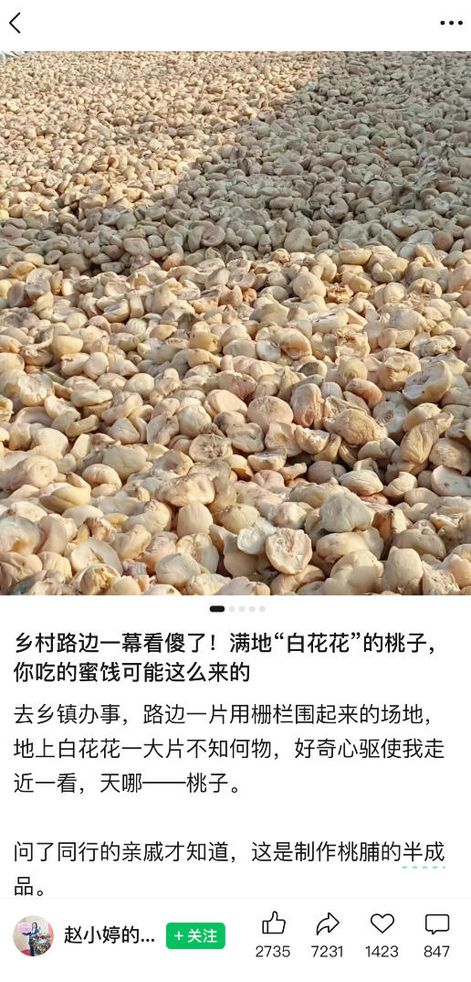 公众号小绿书贴图项目，赚收益实操玩法，听话照听话照少走90%弯路丨副业可做插图1