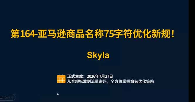 (19352期)亚马逊跨境实战课:全品类选品逻辑|SP/SB/SD广告精细化|新品打爆旺季爆单全套运营教程插图1 (19352期)亚马逊跨境实战课:全品类选品逻辑|SP/SB/SD广告精细化|新品打爆旺季爆单全套运营教程插图1