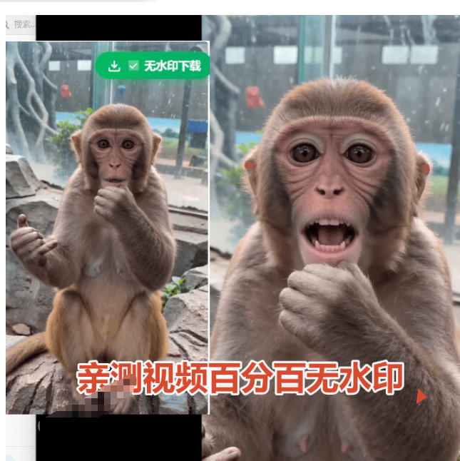 (19358期)豆包无水印下载终于来了!支持豆包图片/视频,目前唯一免费使用的插件,浏览器拓展插图2 (19358期)豆包无水印下载终于来了!支持豆包图片/视频,目前唯一免费使用的插件,浏览器拓展插图2