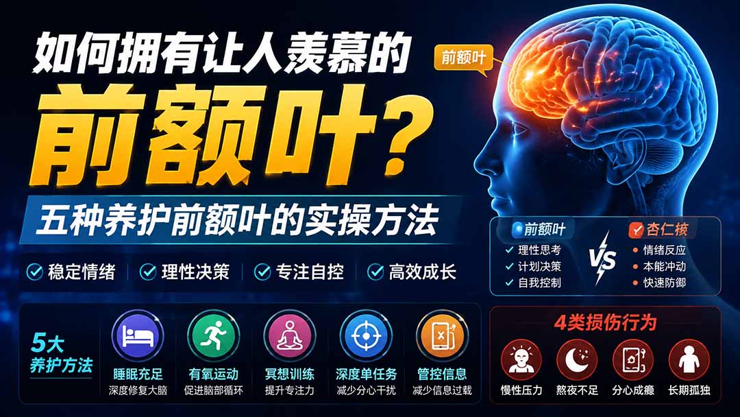(19805期)付费文章:如何拥有让人羡慕的前额叶?五种养护前额叶的实操方法插图1 (19805期)付费文章:如何拥有让人羡慕的前额叶?五种养护前额叶的实操方法插图1