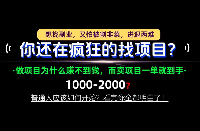 你还在疯狂的找项目？别傻了！卖项目才是真正的一本万利！怎么做，看完你全都明白！【揭秘】